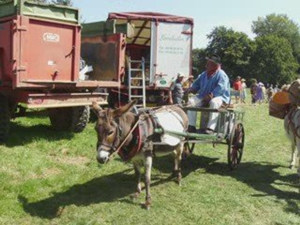 fête de l'âne Suarce 2009