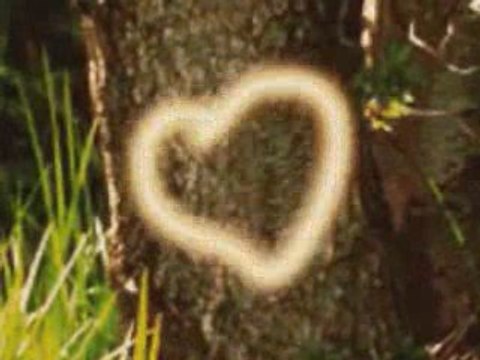 ELVEDA DIYECEKSIN, Aykut, beyoglu, eski defter, zuzu, saf as