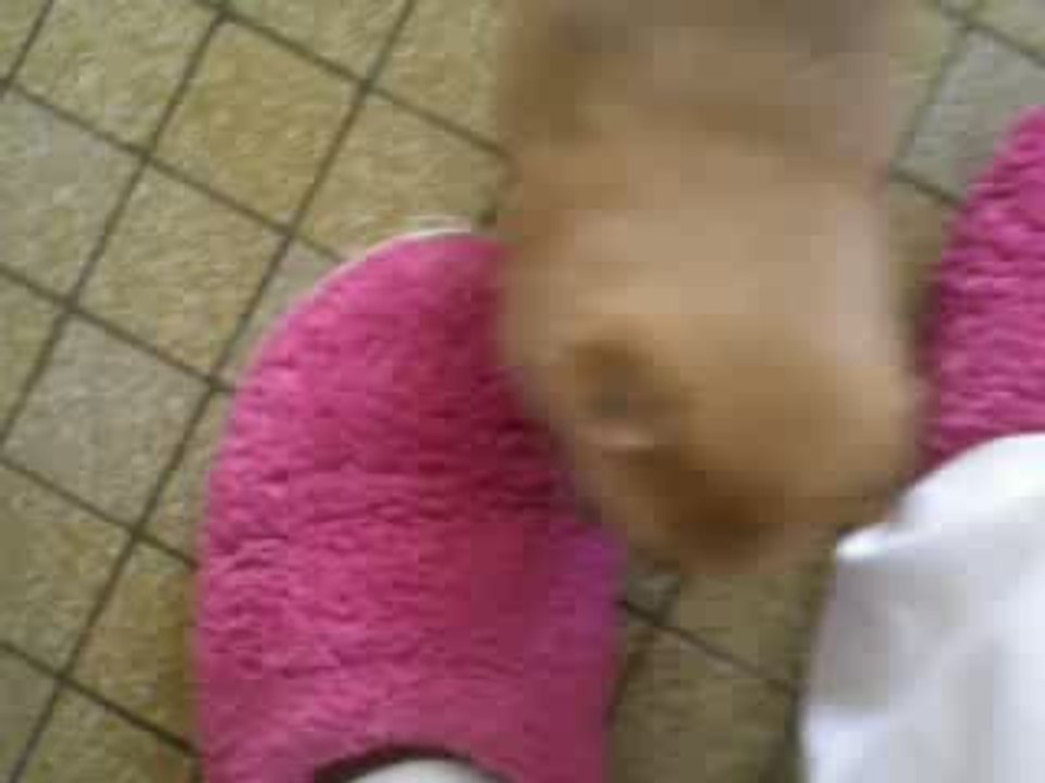 ma petite puce grandie 1 mois