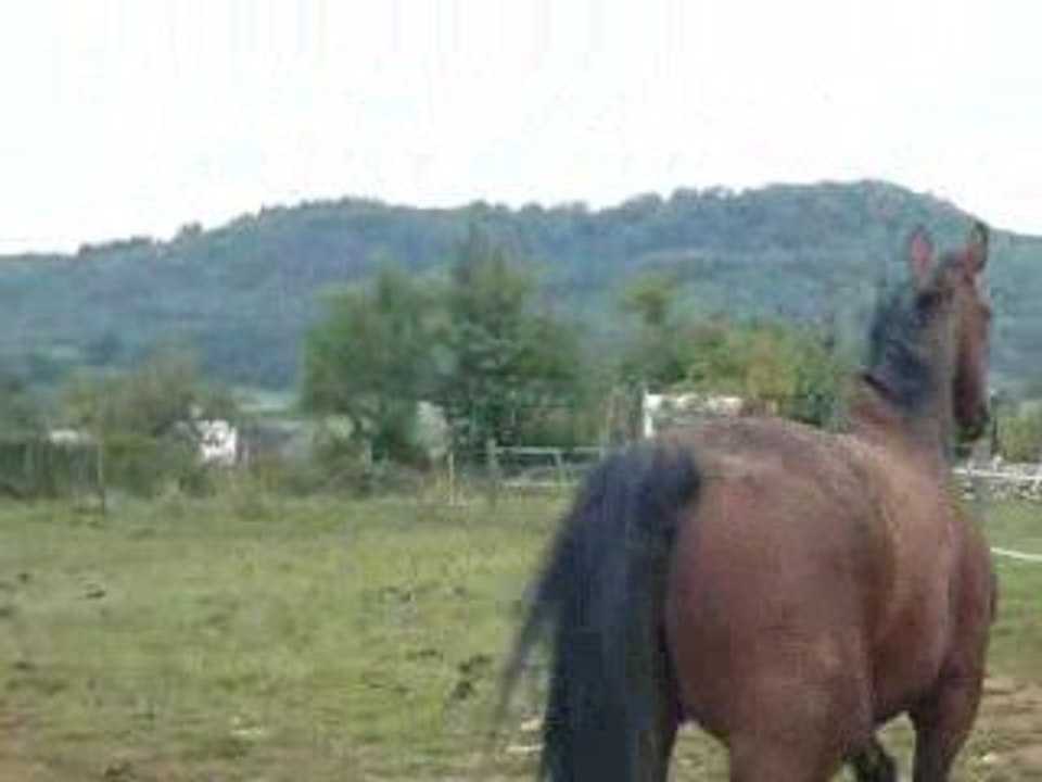 Quapoolco :  Tina part en ballade