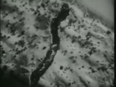 Vintage Kelloggs Pop Tarts Commercial