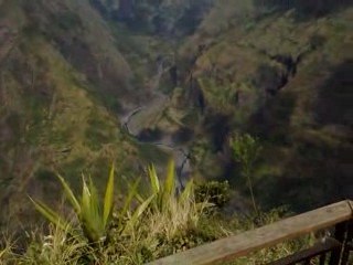 panoramique dos d ane