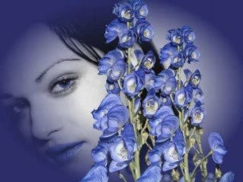 Il mio rifugio Richard Cocciante