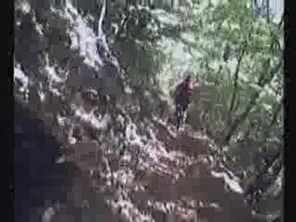 VTT à Conliège
