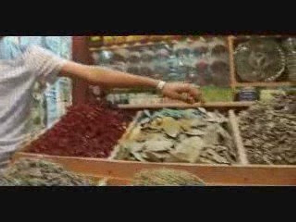 Big Bus Dubai Sightseeing Tours