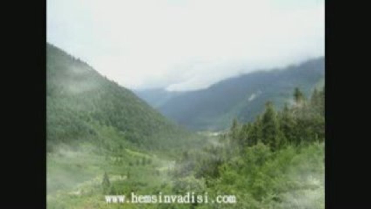 AYDER 2009