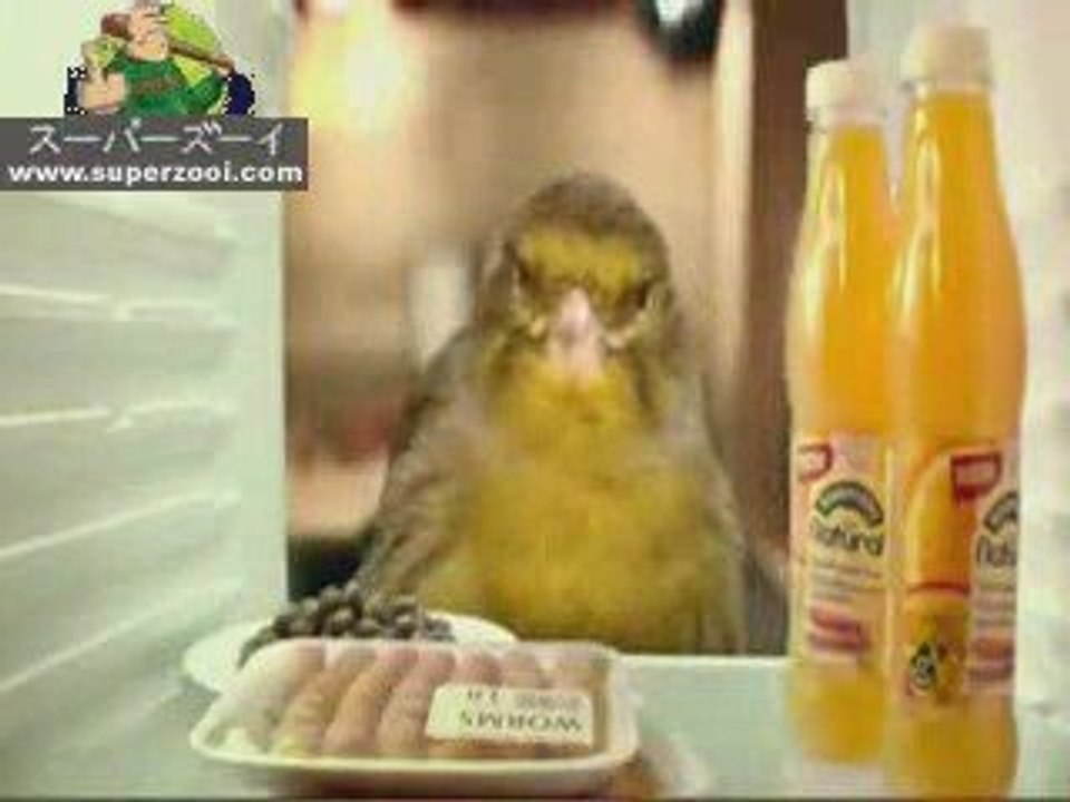 Que fait l'oiseau...
