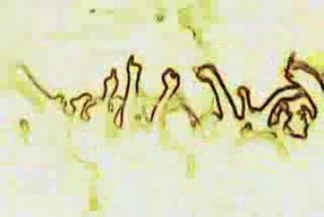 DEAMON BOUNCE (Clip Edit)