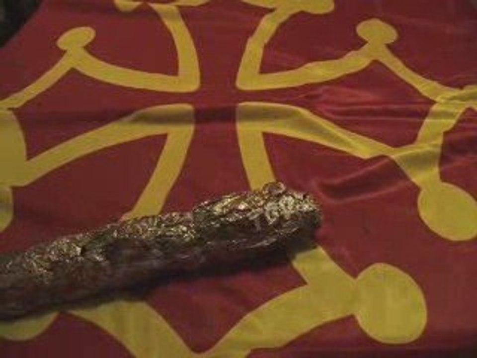 LGV Paca nous fa caga