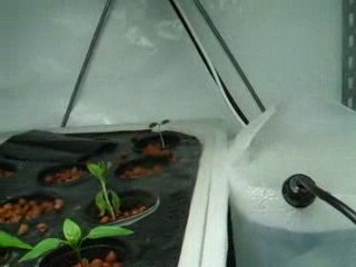 Mist Maker en action