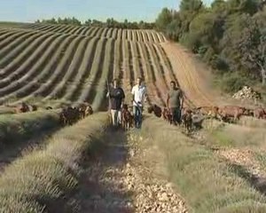 Gréoux les bains: Hôtel Spa Les Colonnes