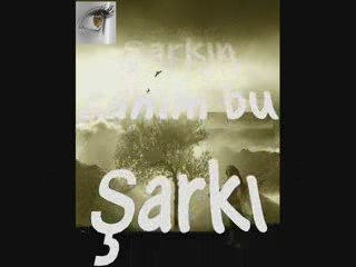 Durak Taşçı-Bu Şarkı