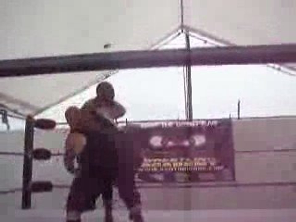 Pro Wrestler/Luchadore/Famous B