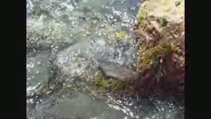 "late summer hiatus: seeing is believing"