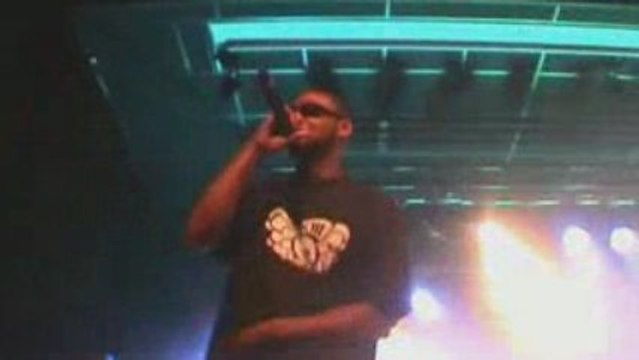 SPLEEN LIVE ANGERS 1ere partie redman methodman