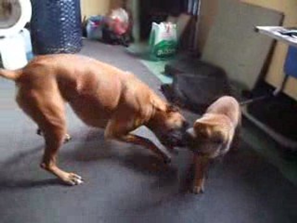Urka & Eliot