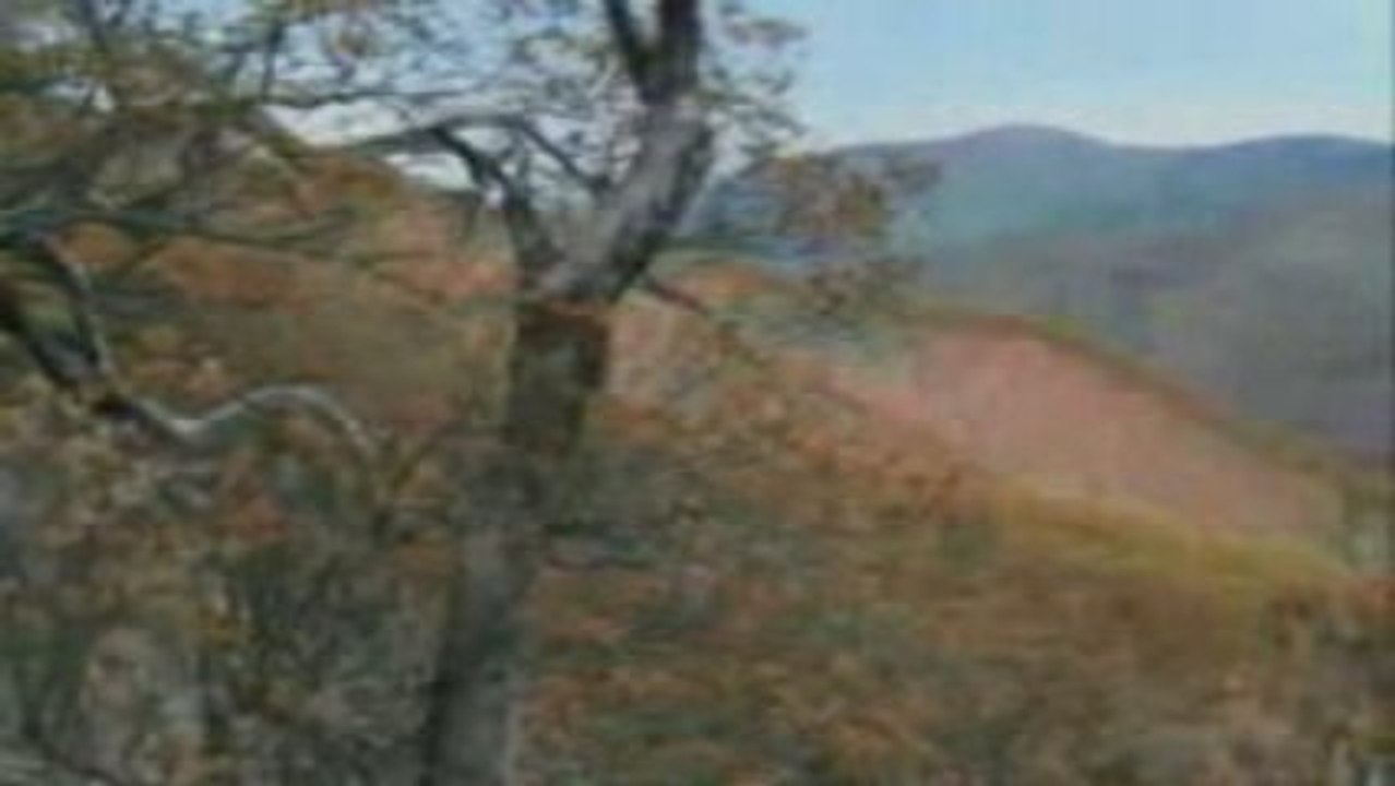 Erkegin Hanimi Üzerindeki Haklari 2/2