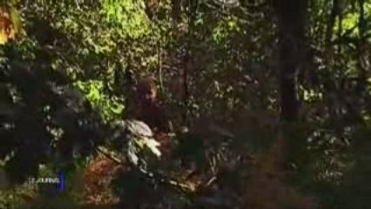 Vendée verte VTT : L'heure du débroussaillage