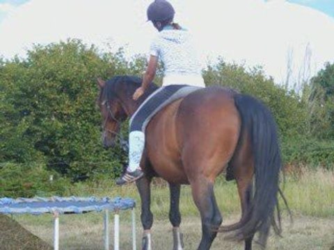 mon cheval et moi (liberté)