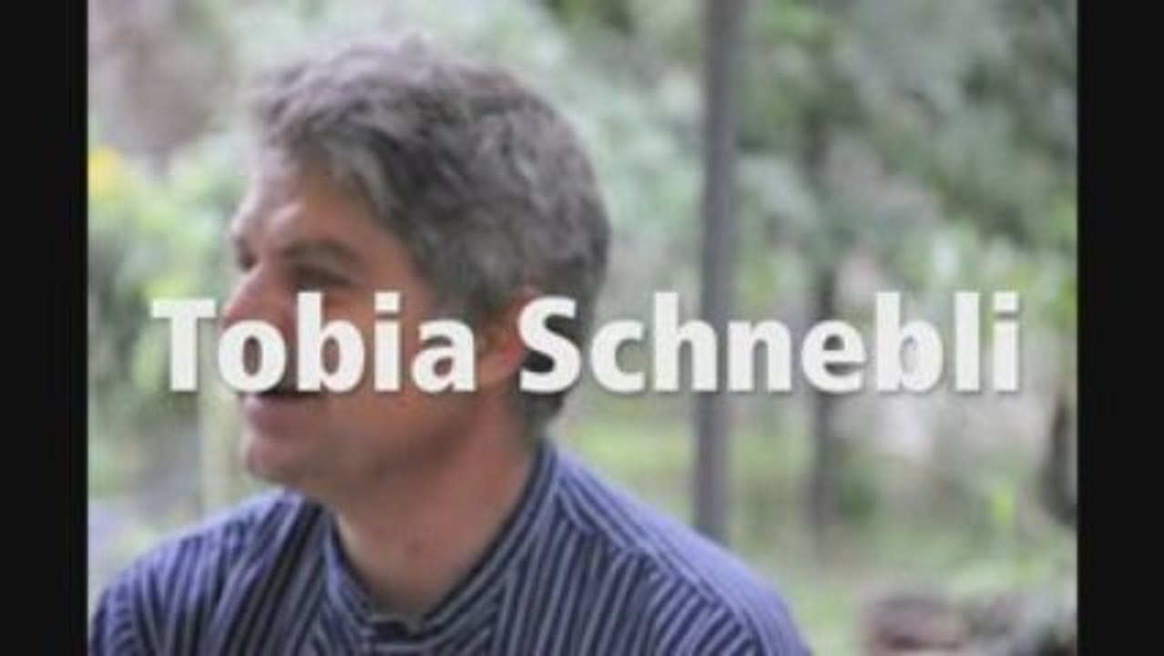Tobia Schnebli : Pourquoi solidaritéS au parlement cantonal?