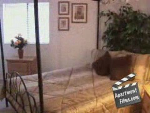 Augusta Court Midrise Apartments Houston Galleria Apartments