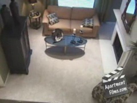 Latour Fontaine Houston Galleria Apartments