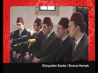 İHH- Dünyadan sesler