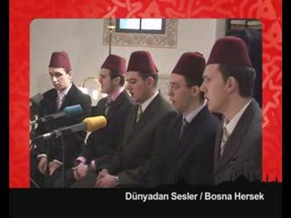 İHH- Dünyadan sesler