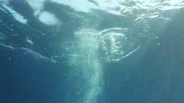 Corse 2009 Sec di Ventu Nathalie au parachute