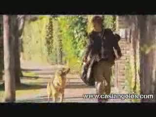 cada vez que sale el sol