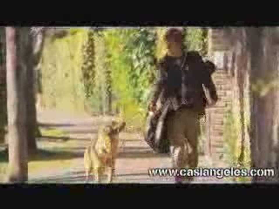 cada vez que sale el sol