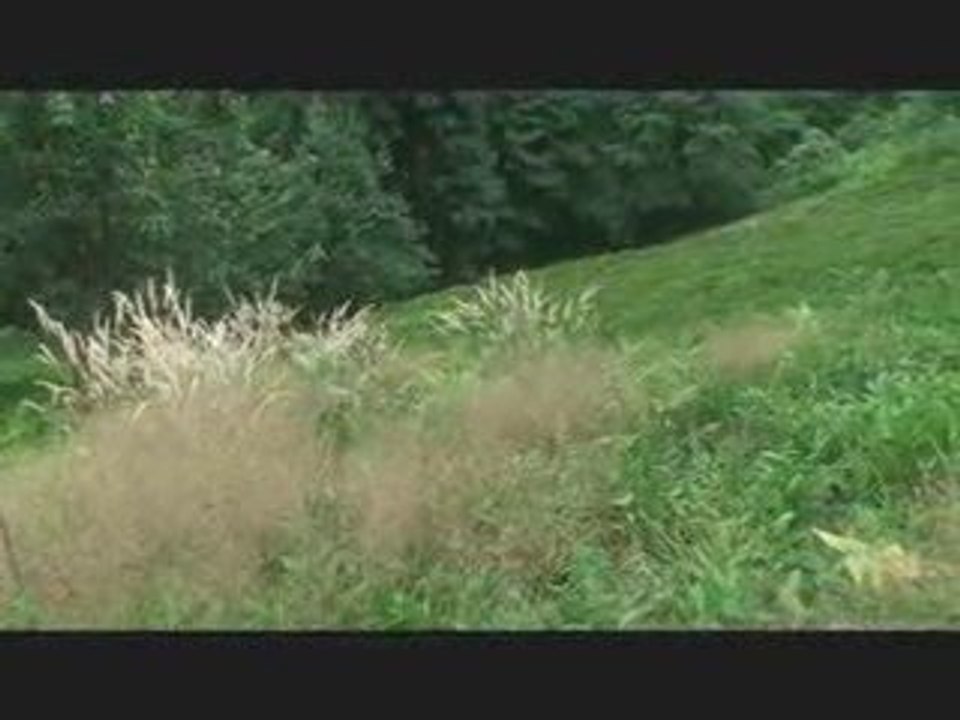 Bogazi Salih GULAS asarda Musa GULAS asamazmi....=)