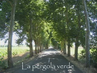 La pérgola verde, entre Cifuentes de Rueda y Gradefes