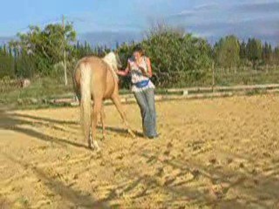 Septembre  2009 vid 3