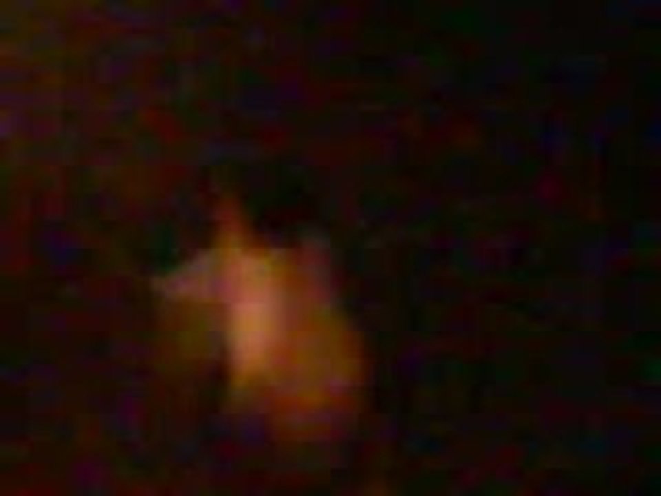 Le triso