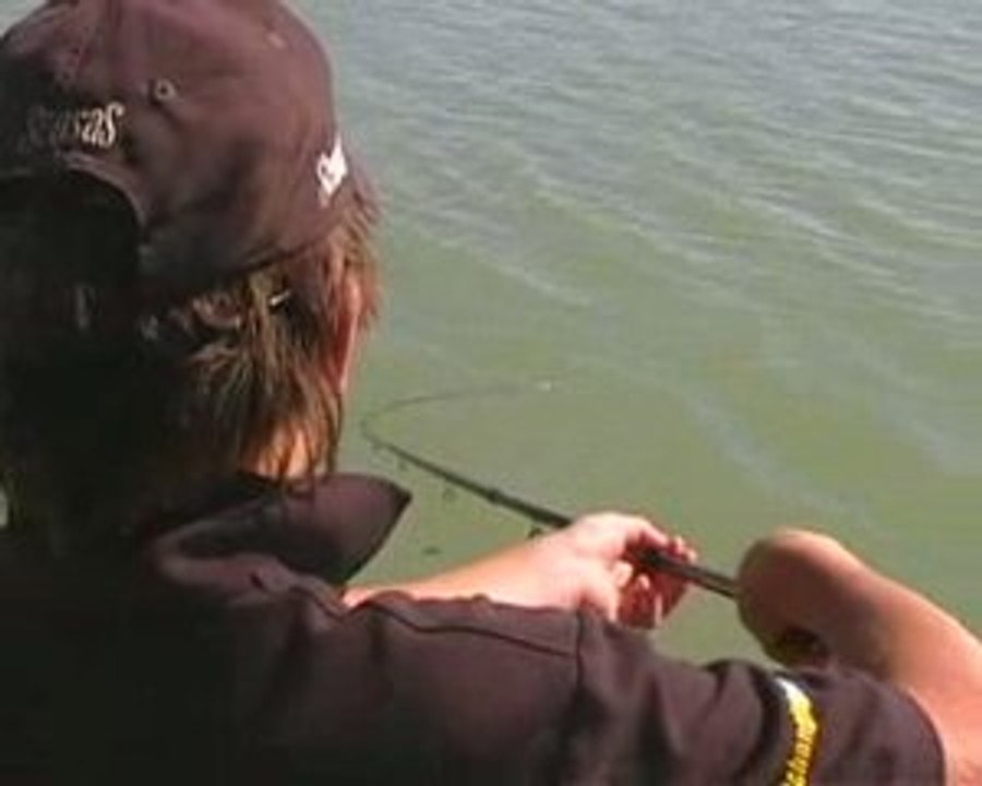 Pêche :Pêchouille en Provence