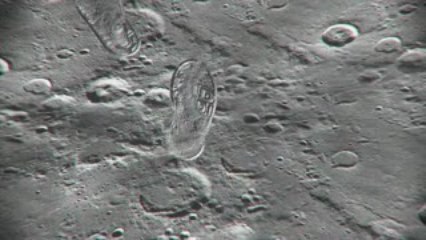 KiD CuDi - Man On The Moon: The End Of Day “Moon-Print” [Tra