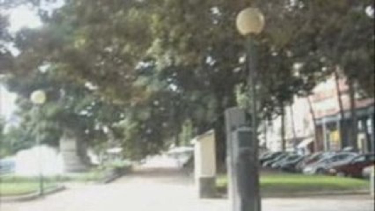 Fucus Trees and Bank Repos in Valencia and Spain