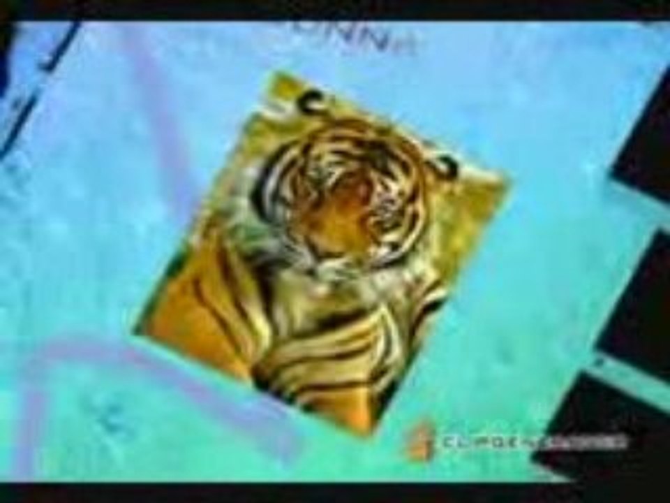 Indian Tiger_mpeg4