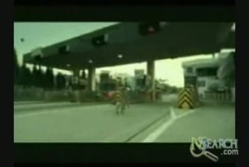 Bridgestone Tires - Jealous Dog Ad