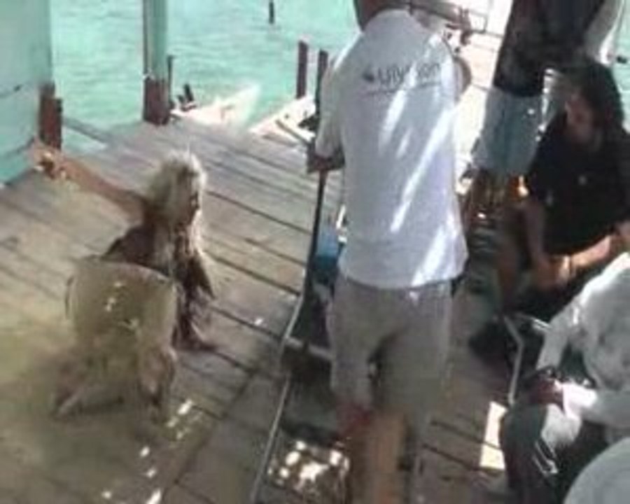 TOURNAGE SHALYA PAPY Cabane PART 5