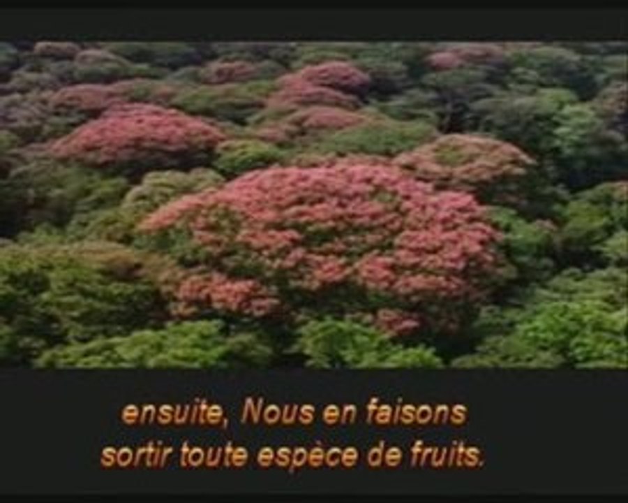 fr-Qui sème l'injustice récolte la tempête