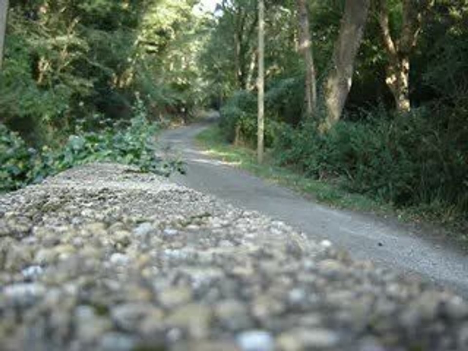 xp street évo 3 en top rose