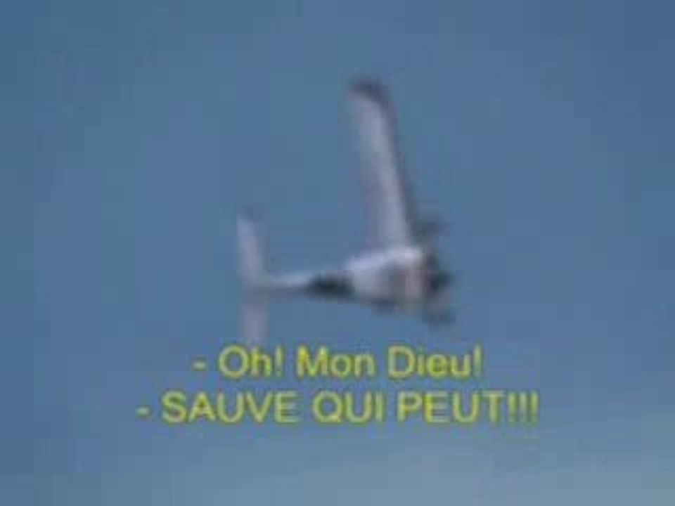 Battre de l'aile