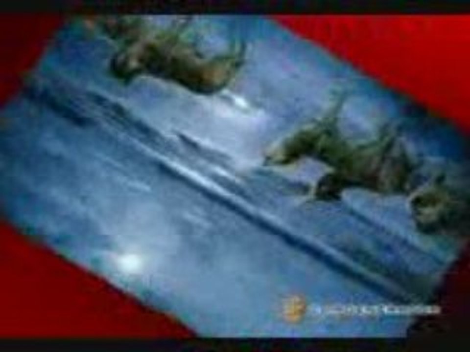 Wolves_mpeg4