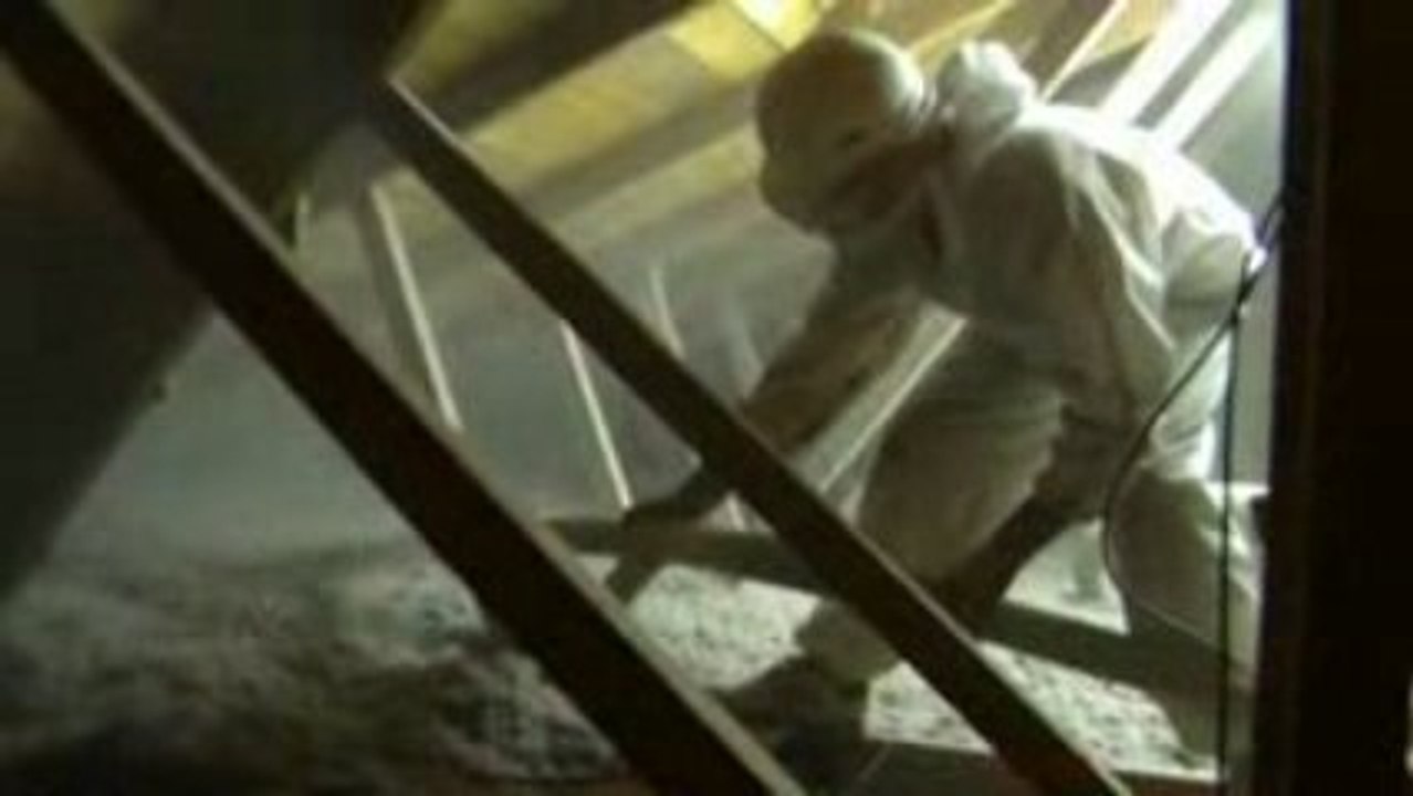 isolation ouate de cellulose