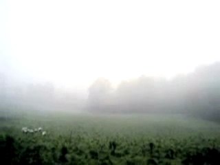 Se potrò dire ho vinto