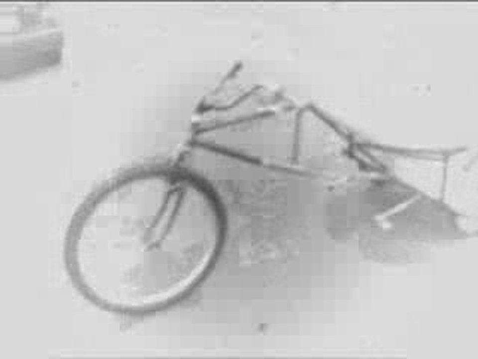 the killer nettle