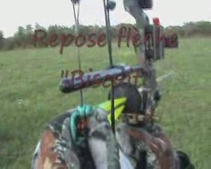 ARC DE CHASSE A CAMES / COMPOUND HUNTING BOW