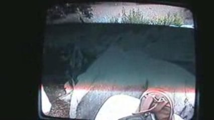 Le jeu de piste et le matin quand les autres dorment.